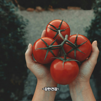 혈압 낮추는 음식