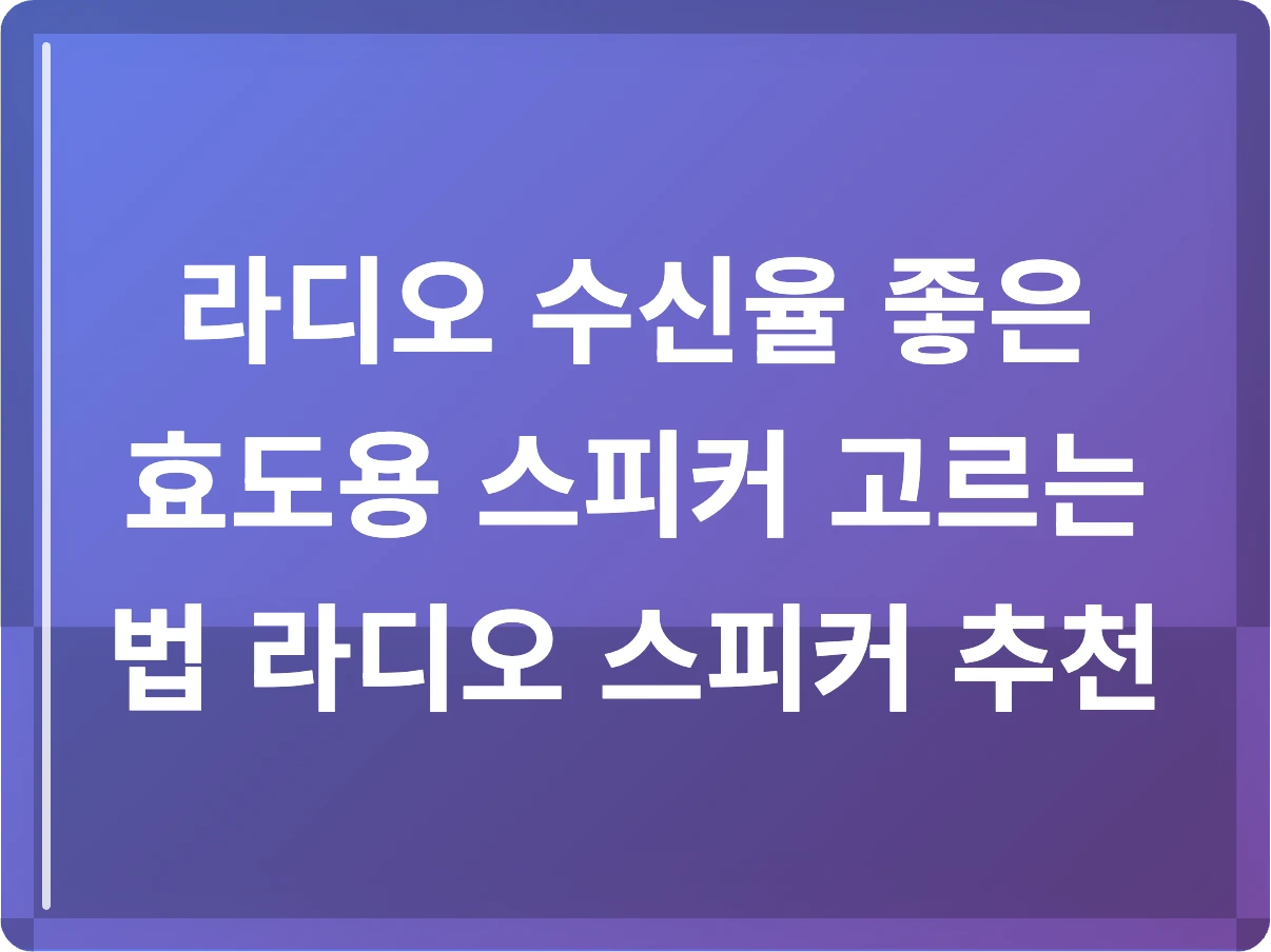 라디오 수신율 좋은 효도용 스피커 고르는 법 라디오 스피커 추천
