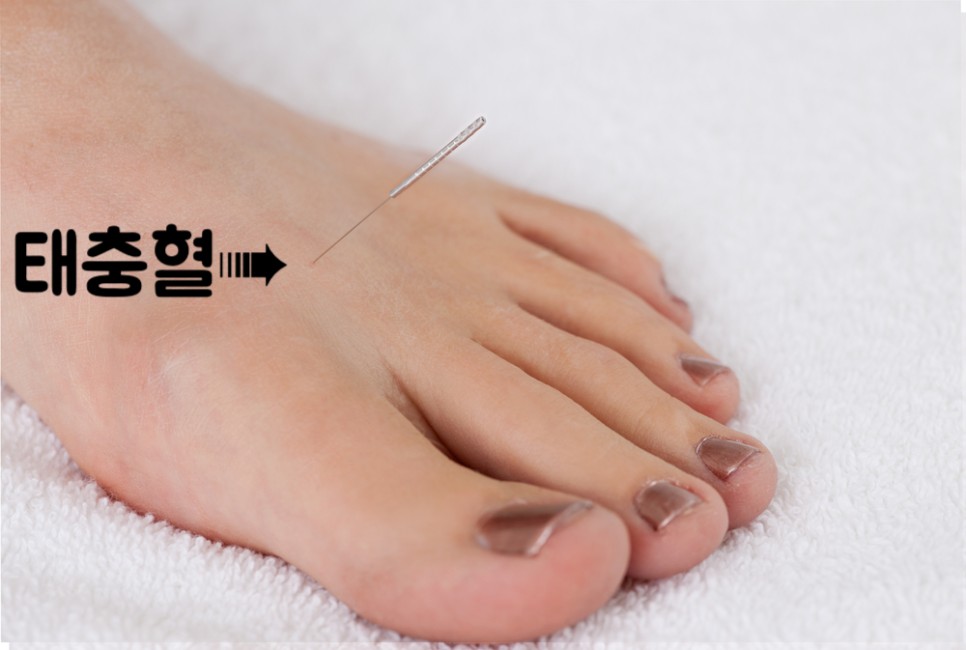 체했을때 증상 체했을때 지압법&amp;#44; 먹으면 좋은 음식 빨간양배추 요리