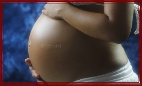 유도분만 과정
