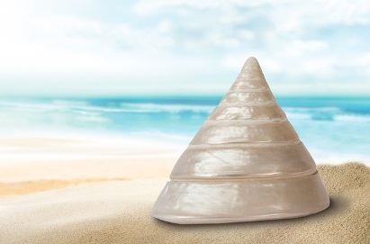 전세·월세 계약 주의사항 필요서류 꼭 넣어야하는 필수 특약사항