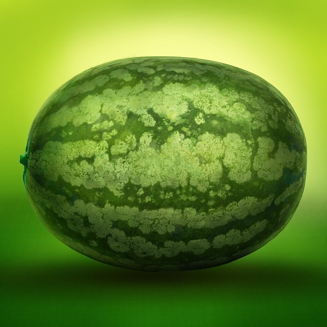 수박 보관방법
