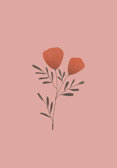 학점은행제 사회복지사 2급 취득 방법