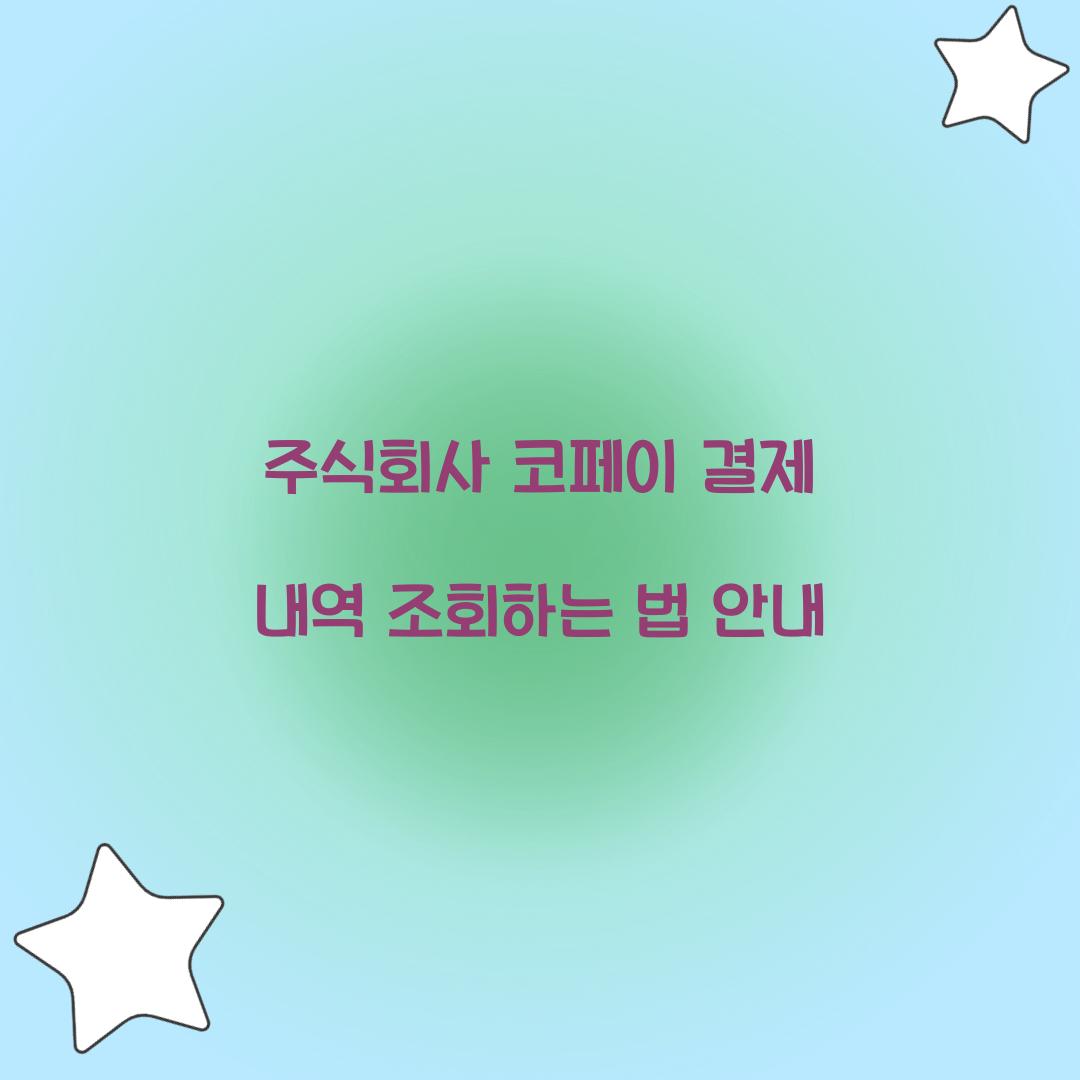 주식회사 코페이 결제 내역