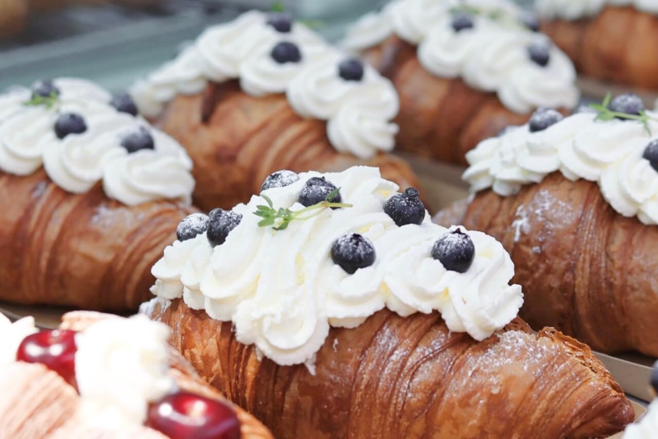 오늘N 소문난 그곳N 파주 식물원 감성 카페 문지리535 파주여행 오늘N2499회