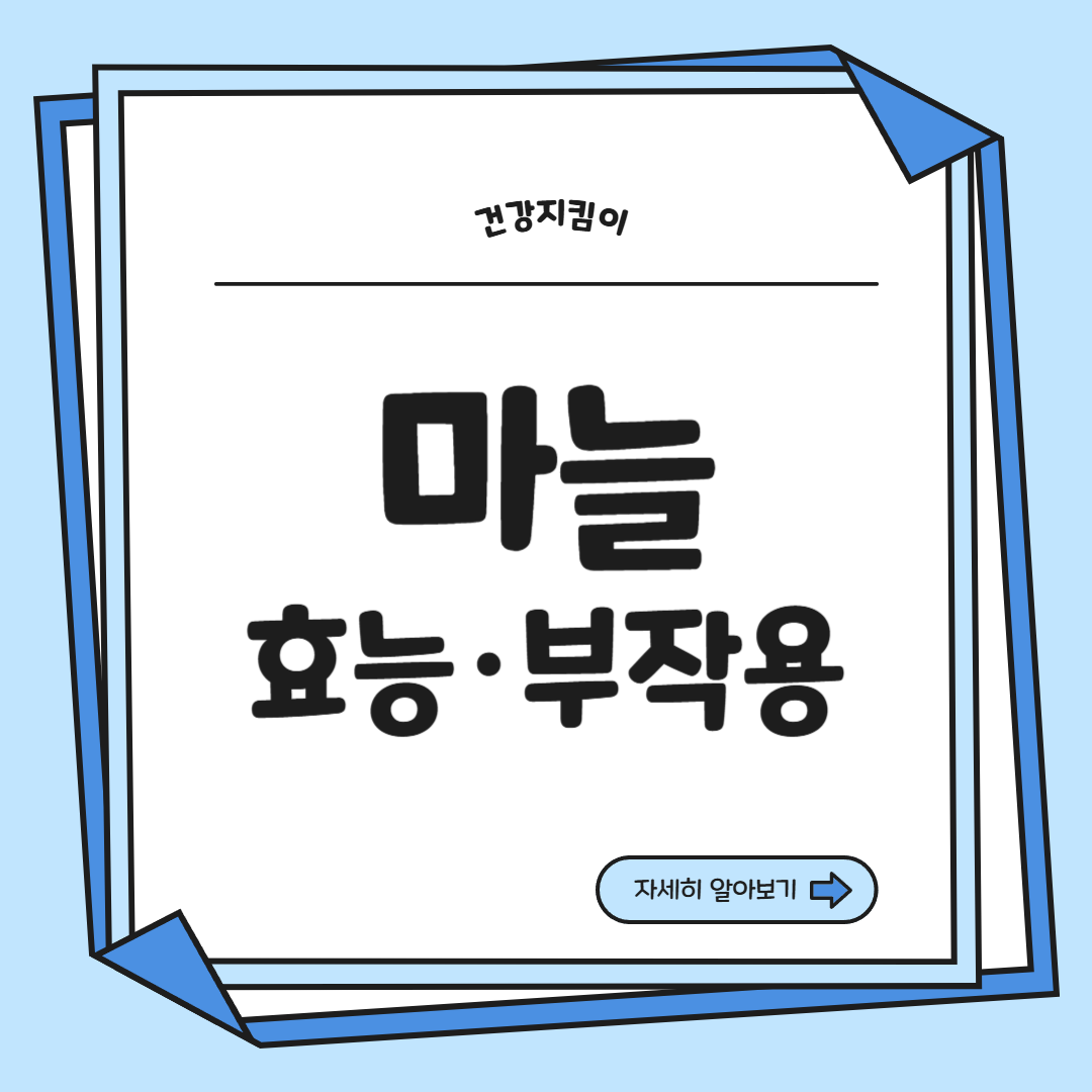 마늘 효능 효과 부작용 당뇨 혈관 건강