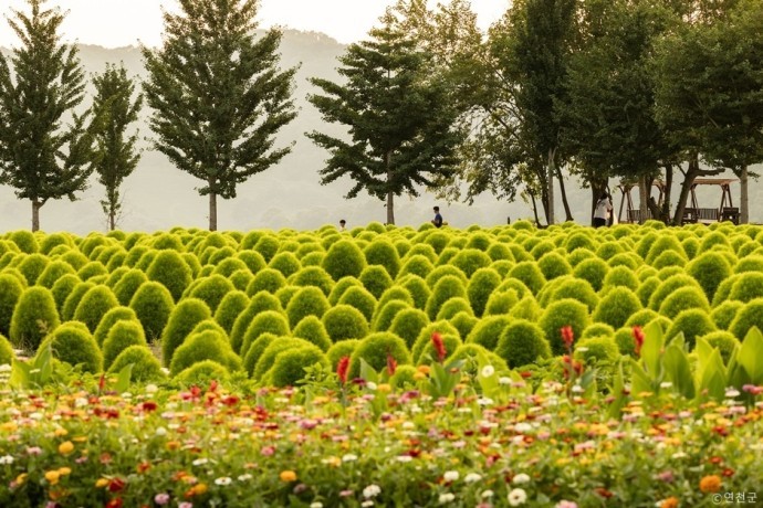 경기도 가을축제