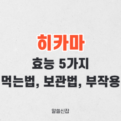 히카마 효능 5가지 먹는법 보관법 부작용 총정리