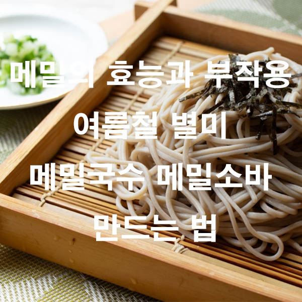 메밀의 효능과 부작용 여름철 별미 메밀국수 메밀소바 만드는 법