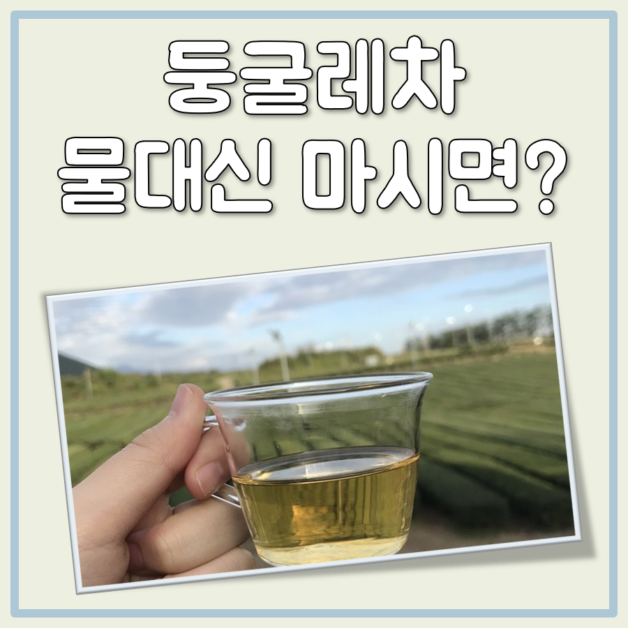 둥굴레차 물 대신 대표 이미지