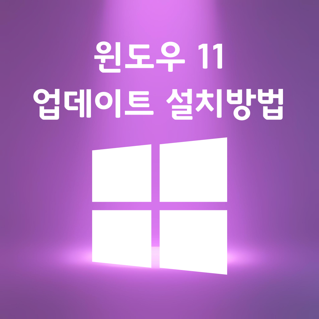 윈도우 11