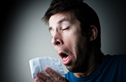 기침 감기에 좋은 차 종류