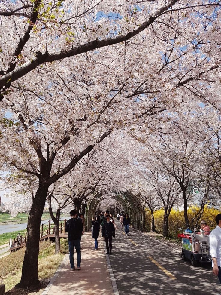 계룡산