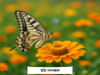 2025 전국 인기 지역축제 순위 TOP10｜여행자들이 직접 뽑은 축제는?