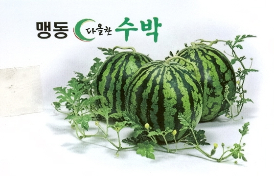 맹동수박