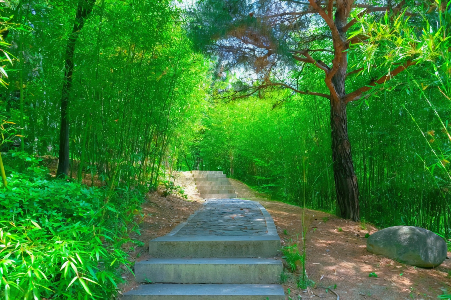 대나무 숲 길