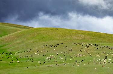 몽골 울란바토르 7월 날씨, 옷차림