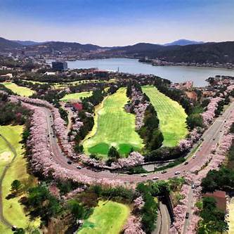 전통과 벚꽃이 어우러진 경주 보문단지 여행 코스 추천