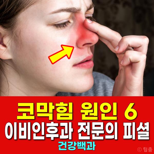 만성 코막힘 원인