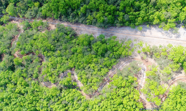만천하 스카이워크