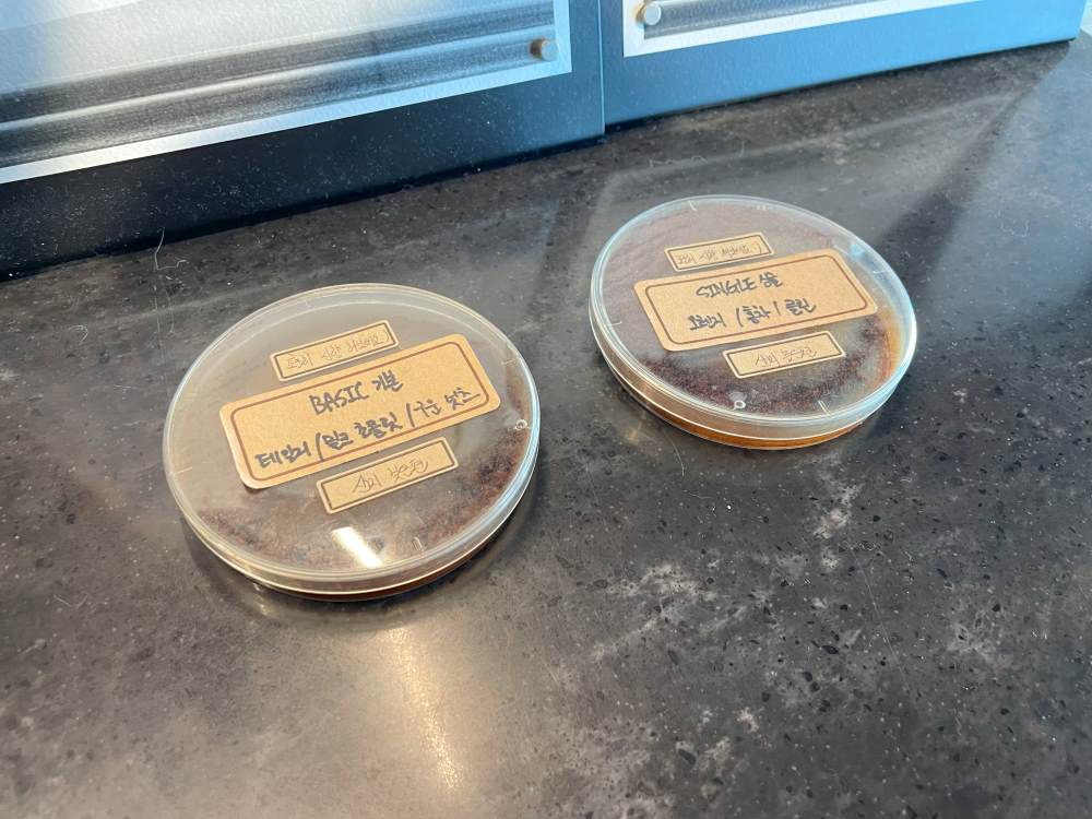 제주-애월-아시시-오션뷰-커피맛집