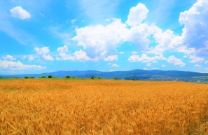 농가직불금 신청 자격 금액-1