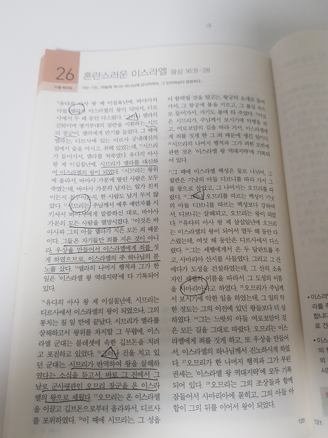 211026 시냇가에 심은 나무