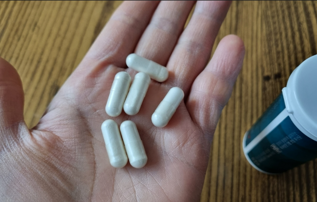 유산균 프로바오틱스 식품 먹는 방법