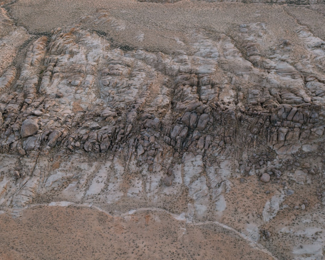 Paleolithic