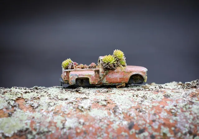 현대 소형차 종류 인기 모델을 비교해 보기_9