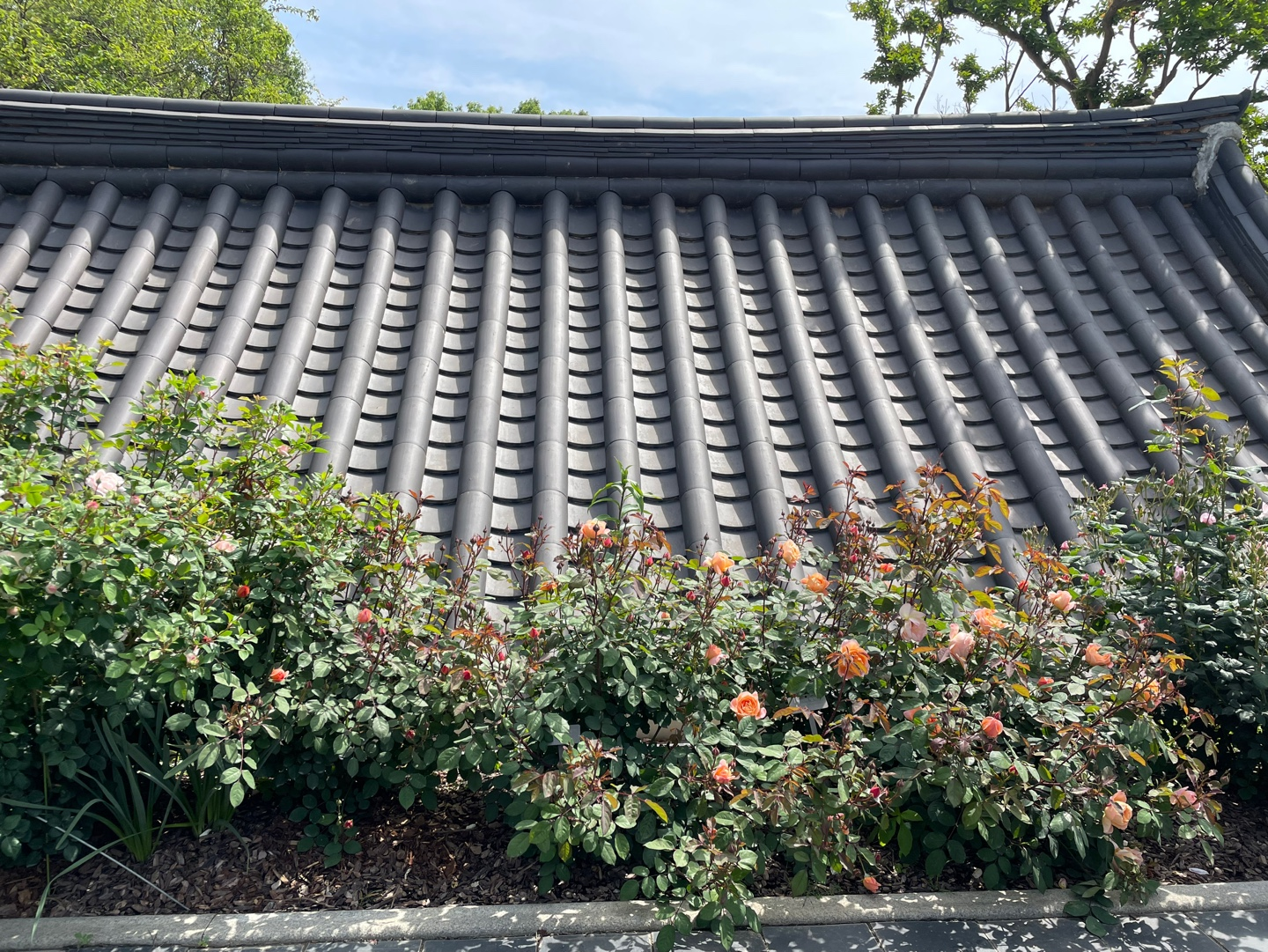 전주 여행 추천 - 전주수목원 소개