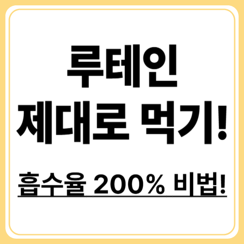 루테인 흡수율을 결정짓는 3가지 요소! 흡수율 200% 높이는 7가지 습관