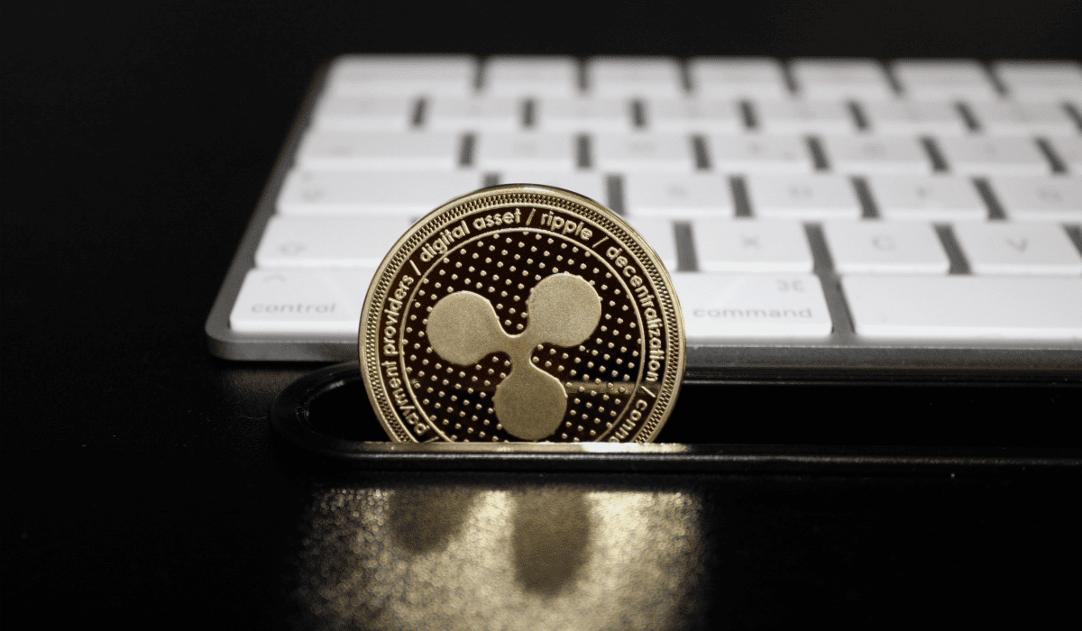 리플_예상가격_6