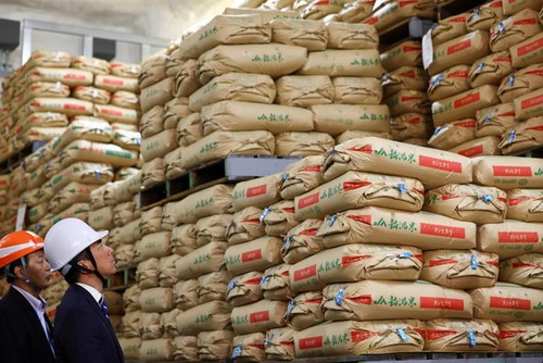 현장을 시찰하고 있는 고이즈미 농림수산 대신