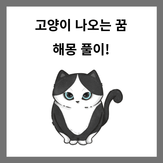 고양이 나오는 꿈 해몽 풀이