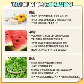 여름 준비는 건강한 식탁에서 6월 제철 음식 리스트 완벽 총정리_24