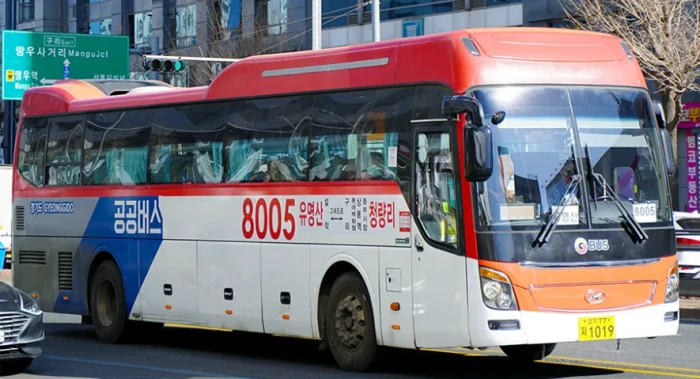 경기공공버스-가평군-8005번-직행좌석버스