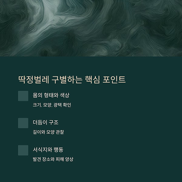 딱정벌레는 어떻게 구별할 수 있을까?