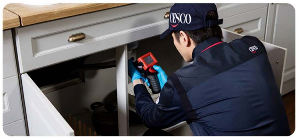 세스코 가정집 비용