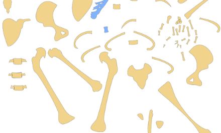 비타민D 흡수율 높은 제품 고르는 법 관련사진