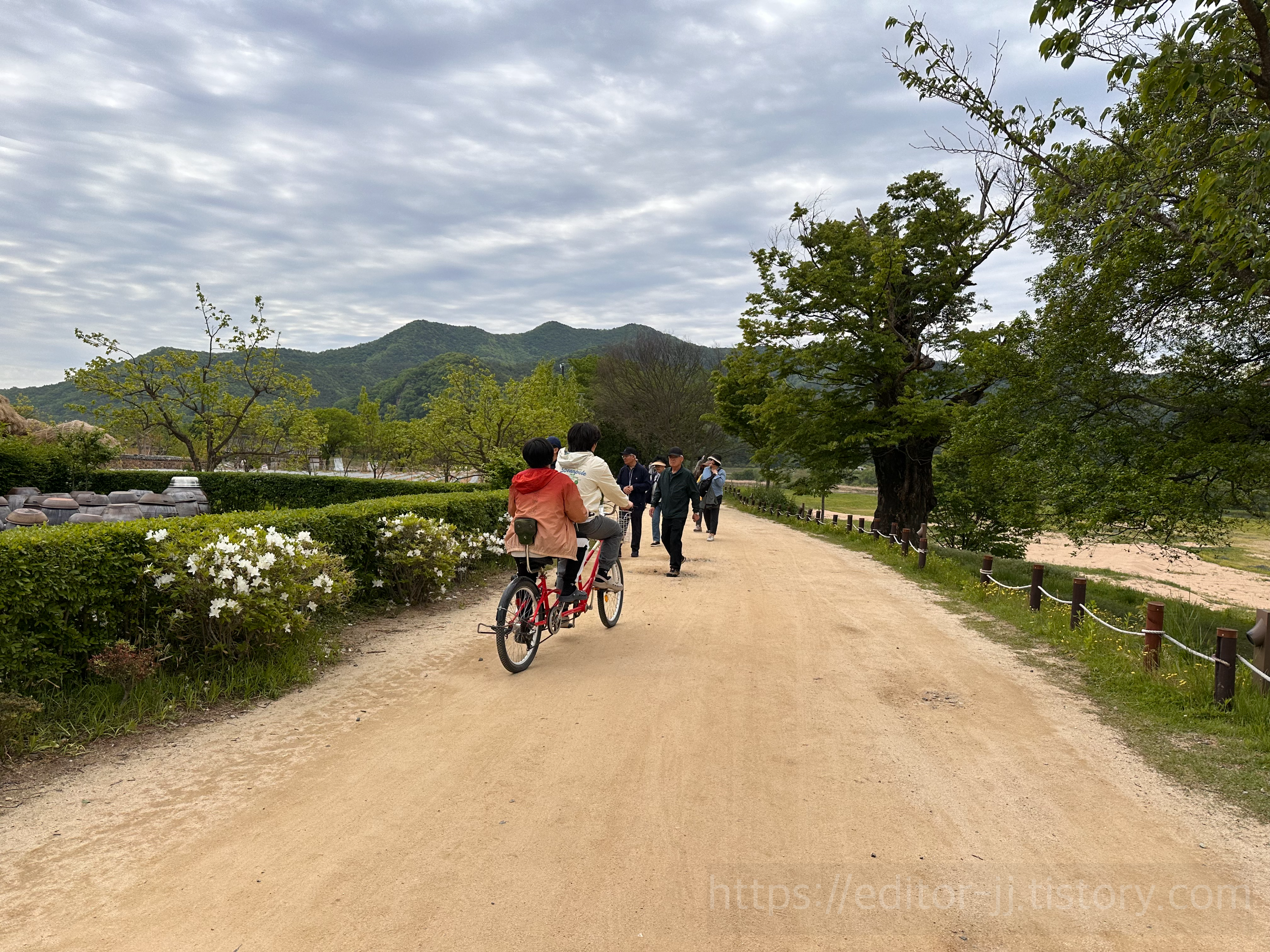 안동하회마을 자전거투어
