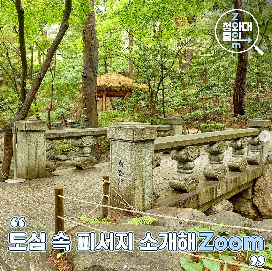 청와대 관람 신청