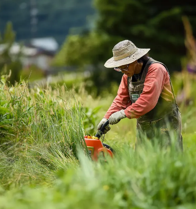 2025년 설날 벌초 업체 서비스