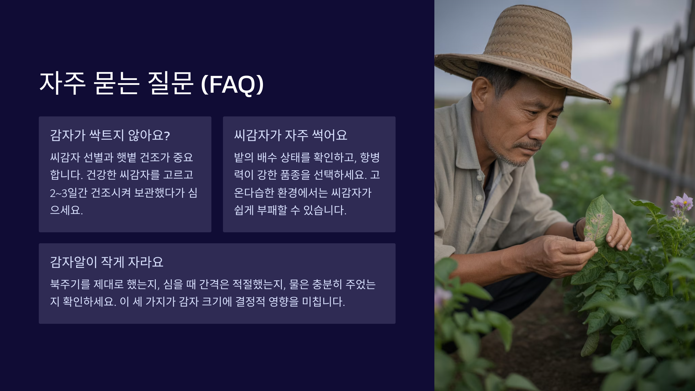 자주 묻는 질문