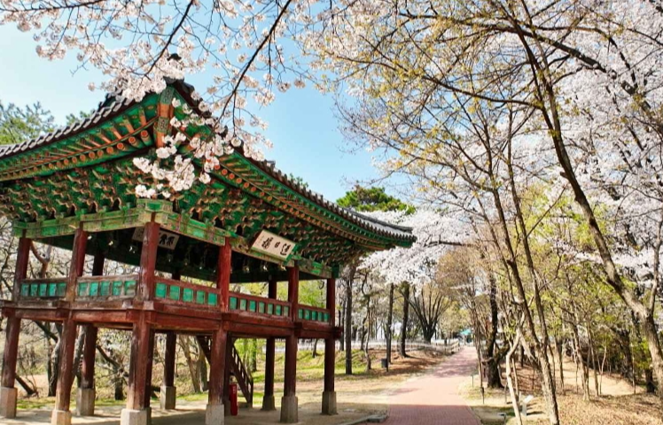 부여 가볼만한곳 베스트10