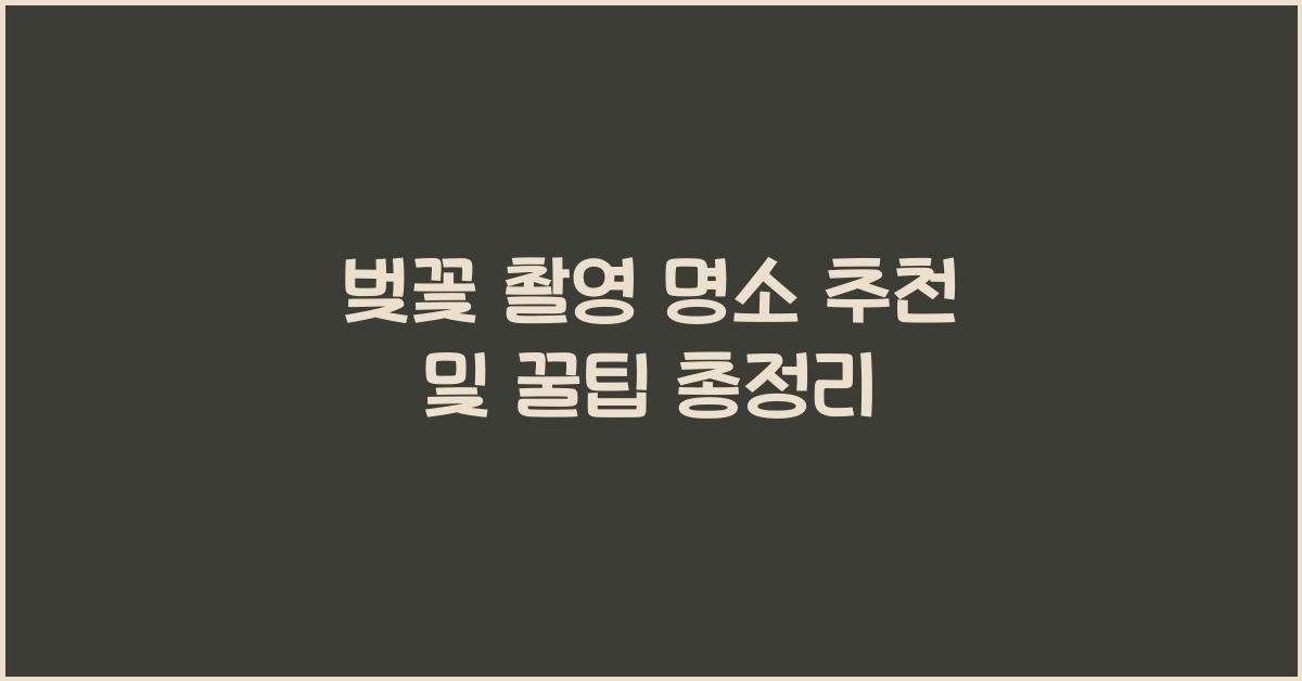 벚꽃 촬영 명소