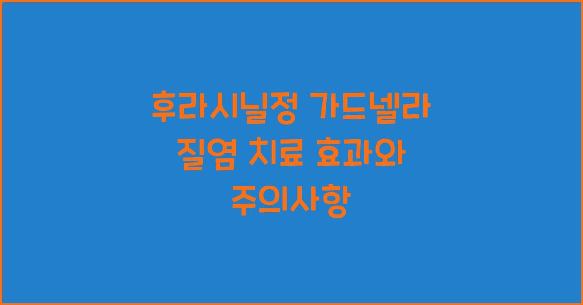 후라시닐정