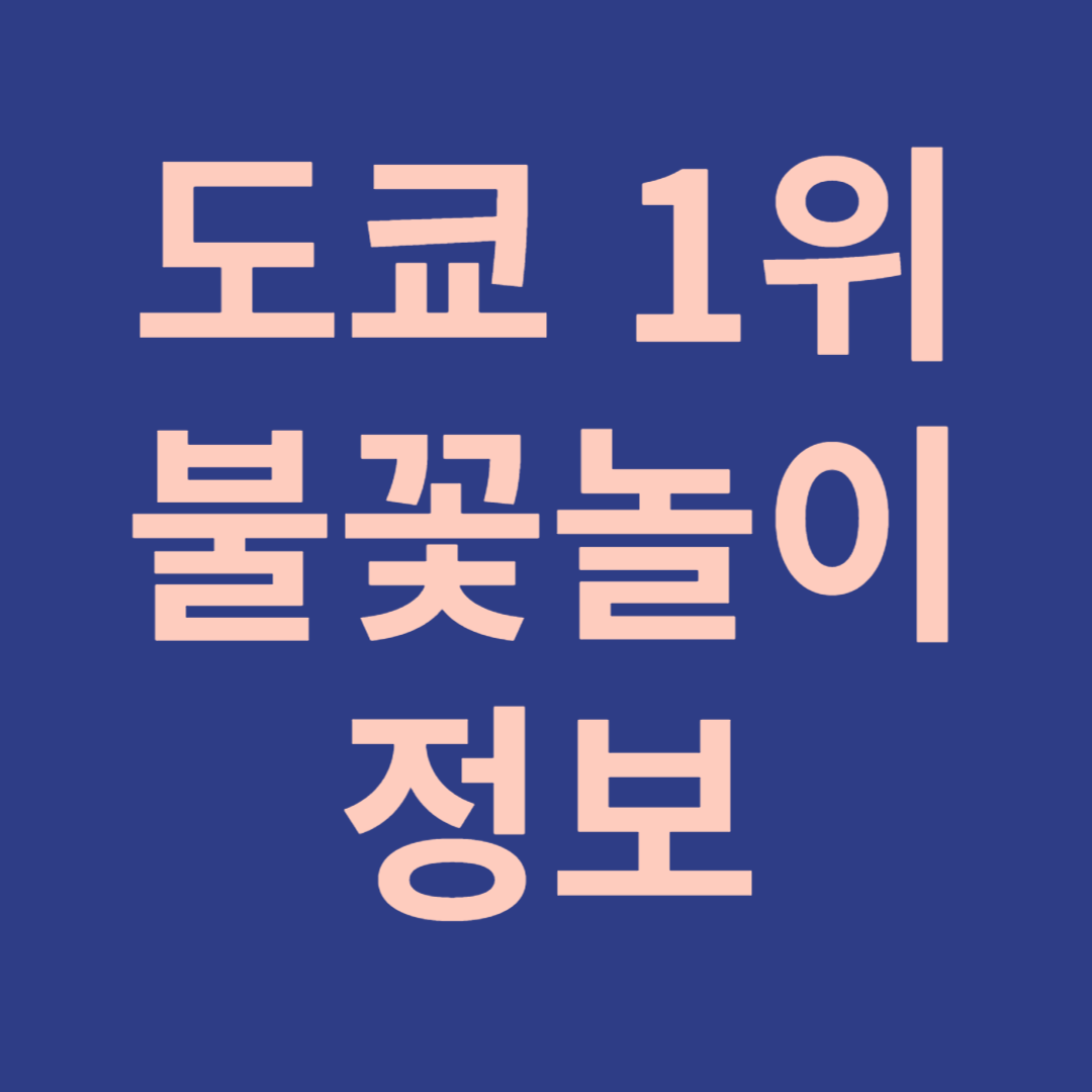 도쿄 1위 불꽃놀이