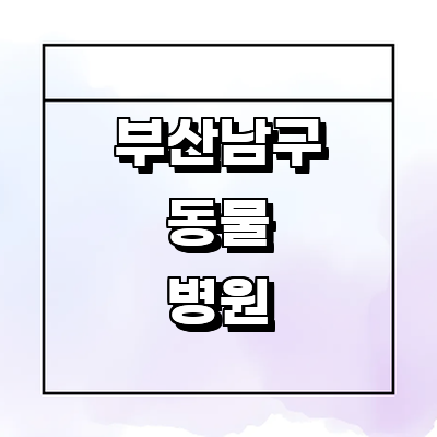 부산 남구 동물병원