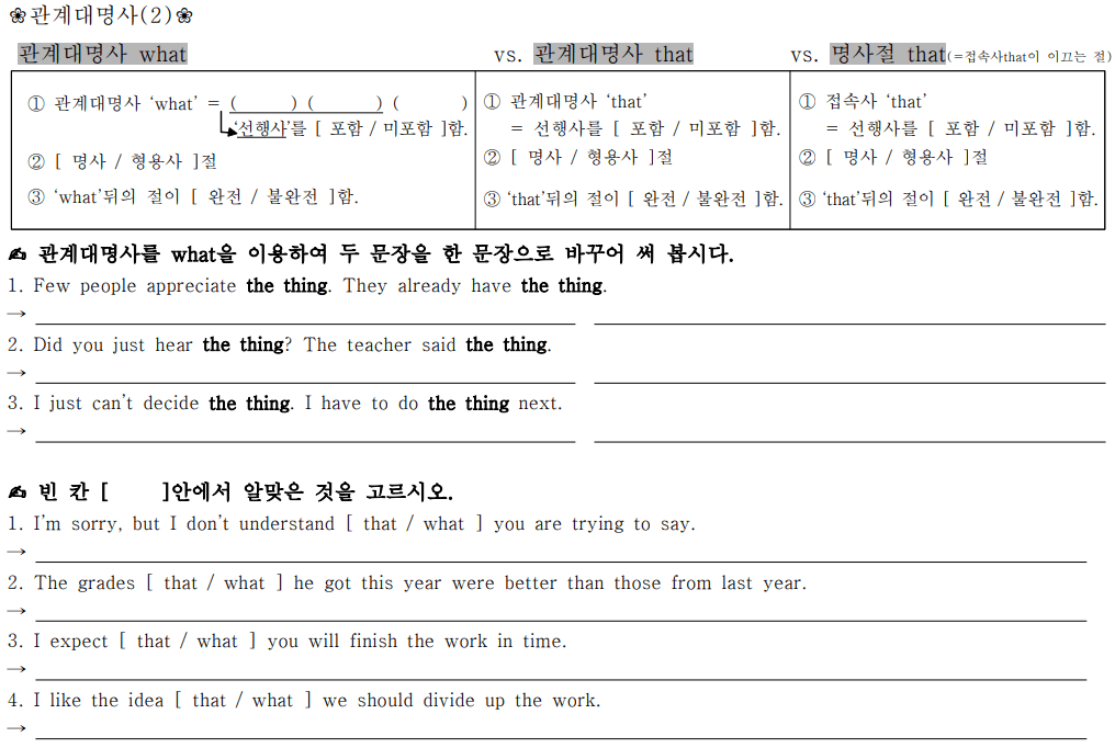 수능 영문법 기초 관계대명사와 명사절의 차이점